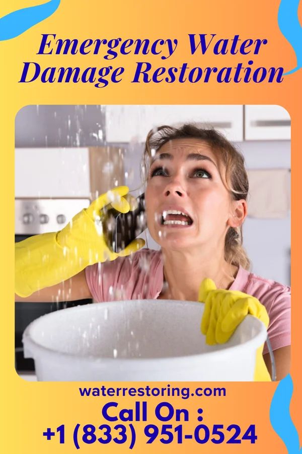 Emergency Water Damage Restoration in Interior, SD